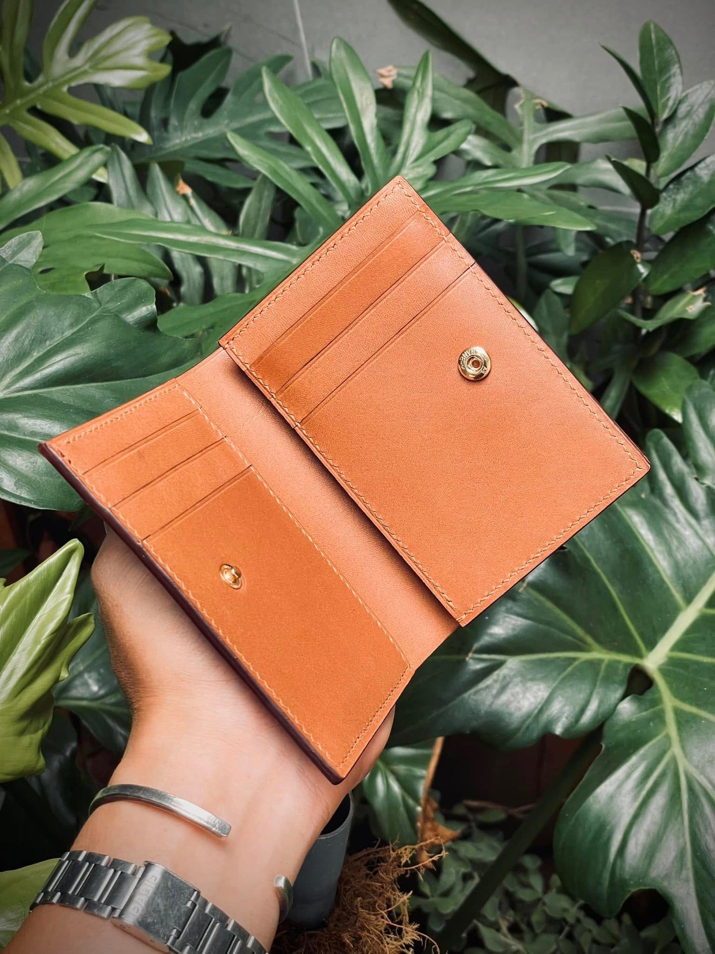 Billetera Bifold de Cuero con Motivo de Gato Scottish Fold