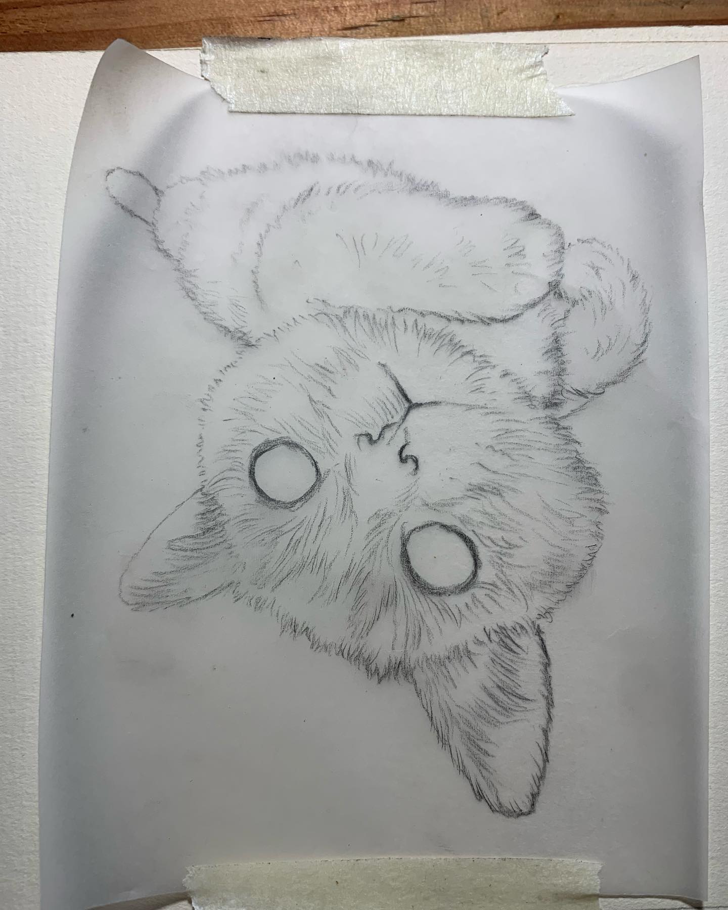 Cartera Bifold de Cuero con Motivo de Gatito